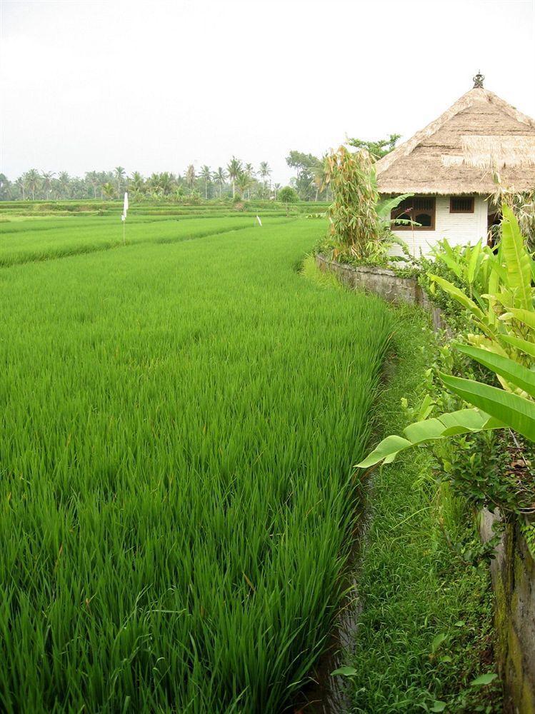 Terang Bulan Cottages Ubud Exterior foto