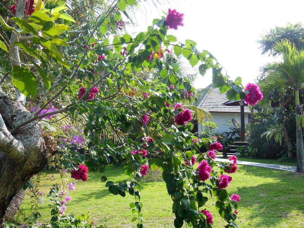 Terang Bulan Cottages Ubud Exterior foto